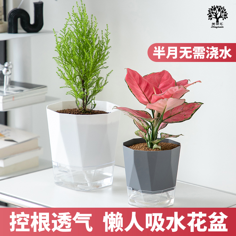 懒人自动吸水塑料花盆