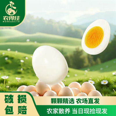 农得佳新鲜放养土鸡蛋无菌无抗健康虫草蛋可生食虫草蛋富硒蛋60枚