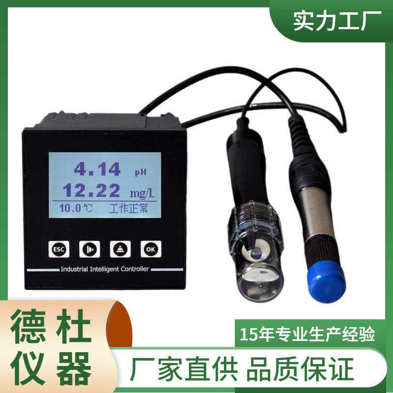 DT-2250双路pH溶氧测试仪工业pH计工业溶氧仪 在线pH计鱼塘养