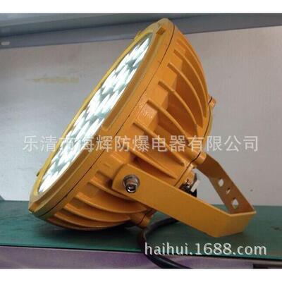 BFC6181A-L30瓦LED防爆灯BFC6181A-L60/30W 40瓦60W100瓦