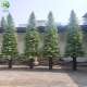 商场公园装 户外人造玻璃钢仿真松柏树雪松 饰大型水杉树仿真假树