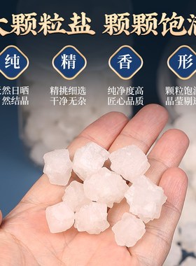 卫生间解秽瓶粗盐净宅大颗粒御守盐摆件海盐搬家乔迁新居厕所容器
