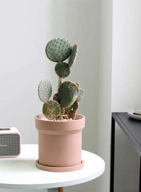 红色水泥桌面花盆陶瓷蝴蝶兰套盆红陶透气北欧简约陶土陶盆龟背竹