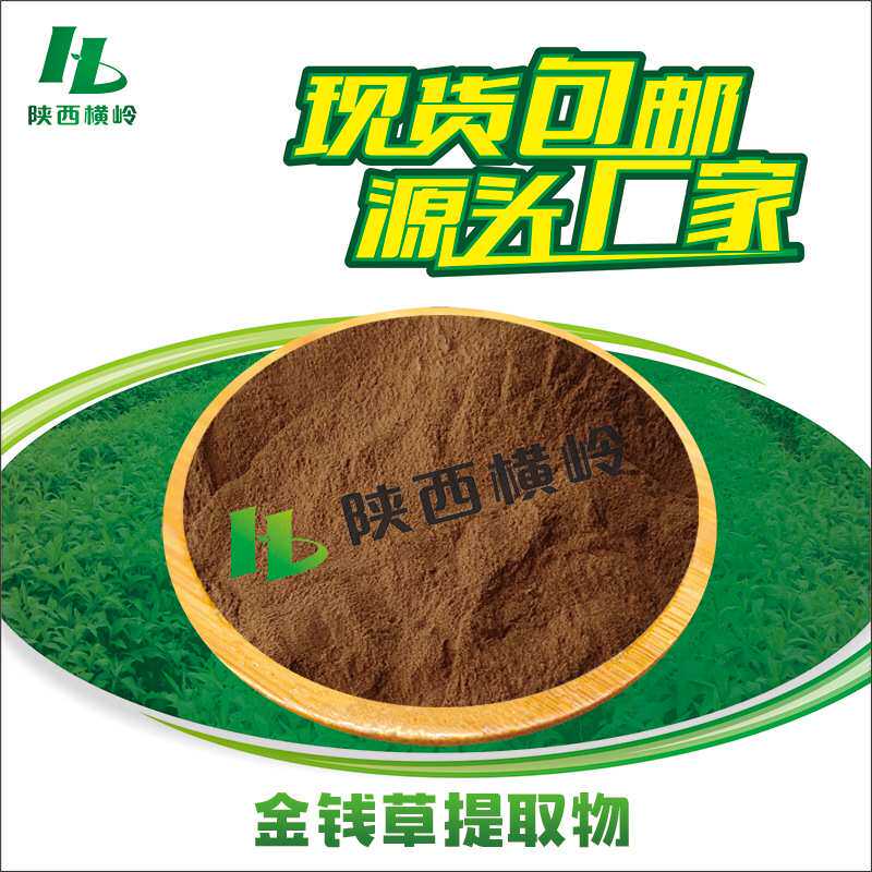金钱草提取物30:1金线草粉大/过路黄水溶性现货食品级