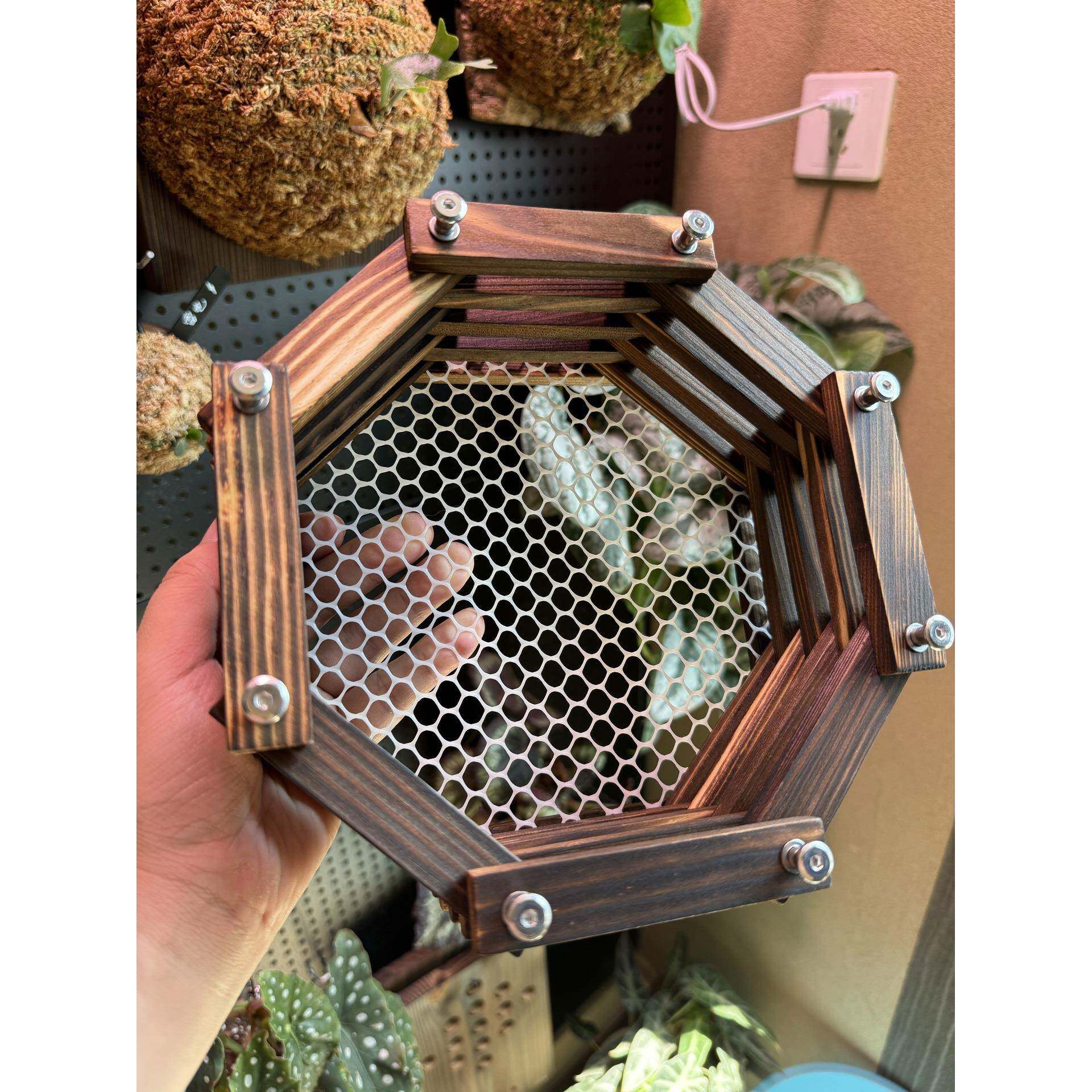鹿角蕨种植板蕨兰花石斛海洋板挂板洞洞木板种植板背板