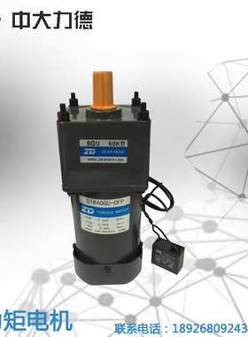 中大马达5TK40GU-CFP-5GU 60KB拉伸膜机专用力矩电机/调速电机40W