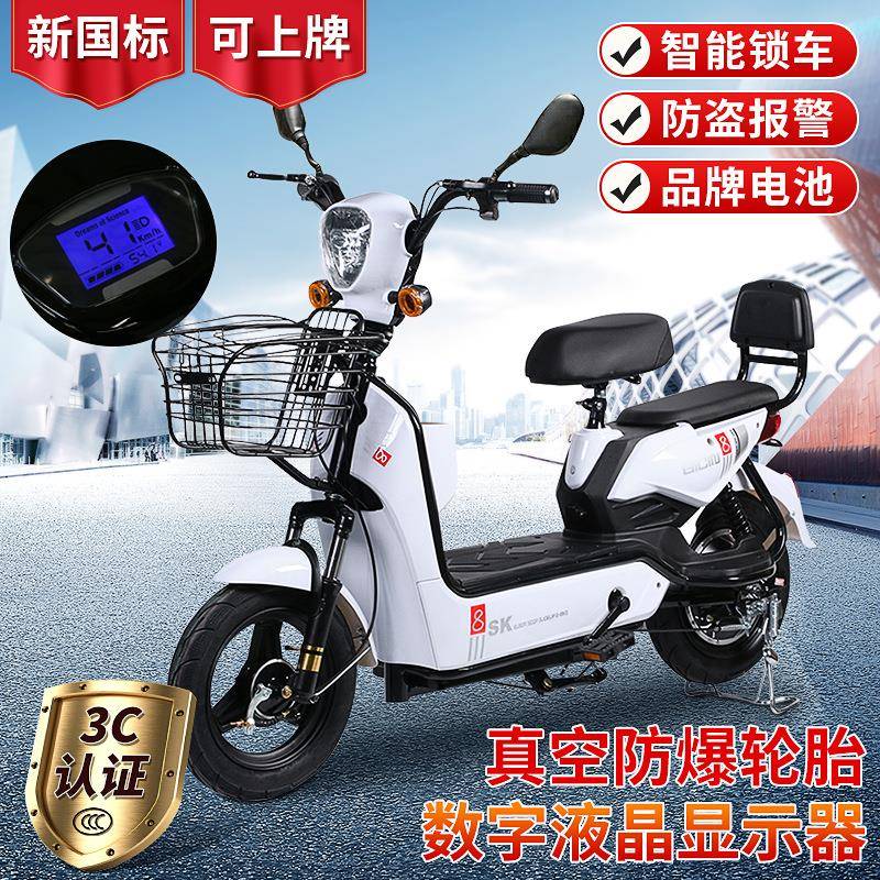 临沂电动车48V脚踏车成人款家用双人电瓶车新国标3C电动自行车