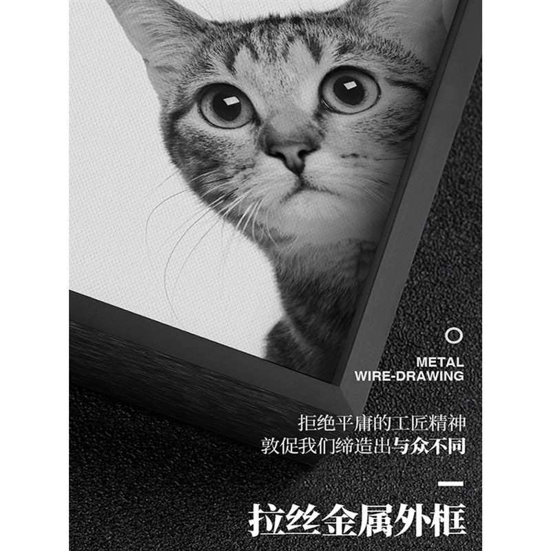 来图定做高清喷绘照片打印有框客厅玄关卧室装饰挂画定制专拍链接图片