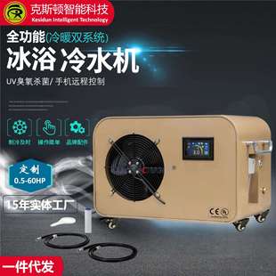 厂家加工生产全自动智能小型家用户外冰浴机机器带水泵循环制冷机