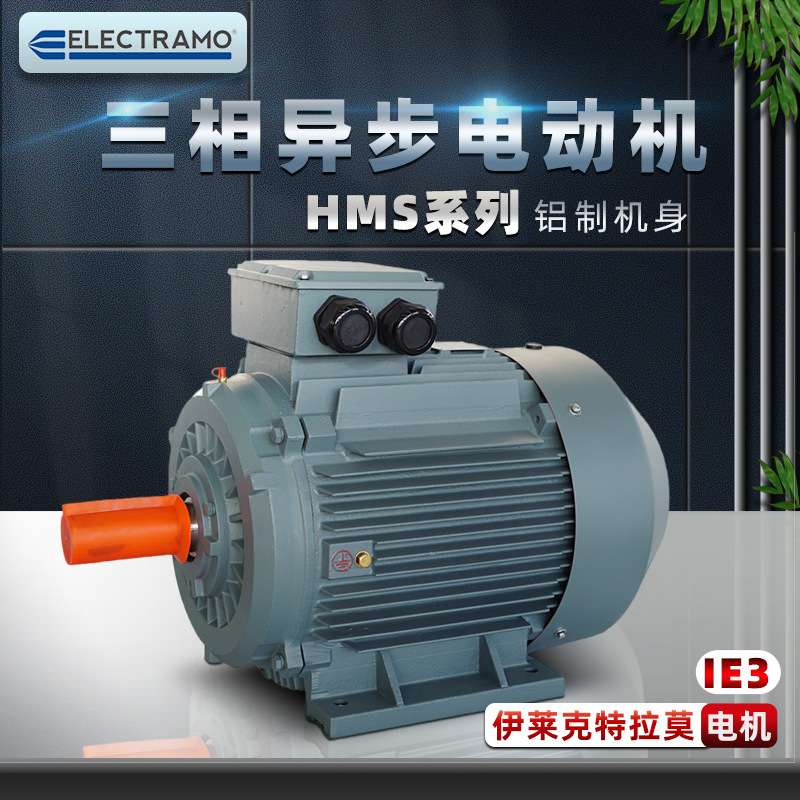 供应比利时ELECTRAMO电机HMS系列0.25KW11KW三相铝壳异步马达现货