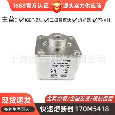 170M5418 170M5447 170M5448直流快速熔断器 电子元器件 库存充足