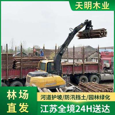 厂家供应防汛木桩 工地河道打桩木防洪防汛木桩土建工程松木桩