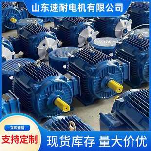 YE4国标铜线电机 YE3 热卖 机械设备三相异步交流电动机YE2