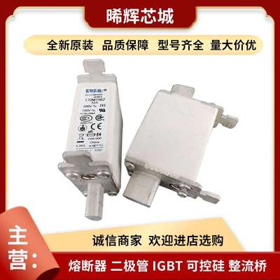 170M2609 170M2610 170M2611型号齐全标准封装现货低压快速熔断器