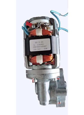 1YHT380054P007 GCE0940084P0126储能电机200WDC220V VD4储能电机