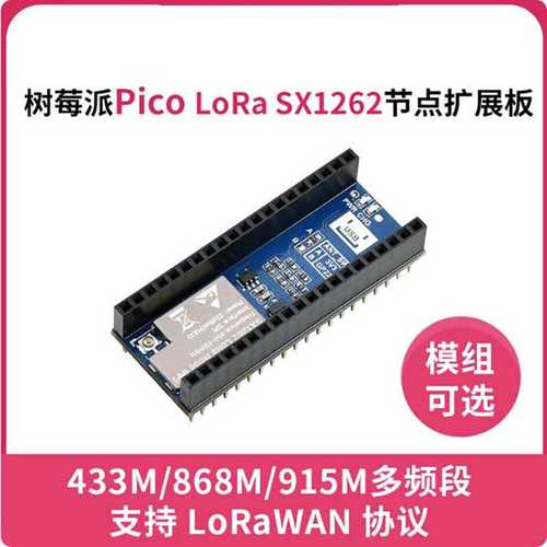 树莓派Pico 节点扩展板 LoRa WAN协议 可选频段模块 SPI通信