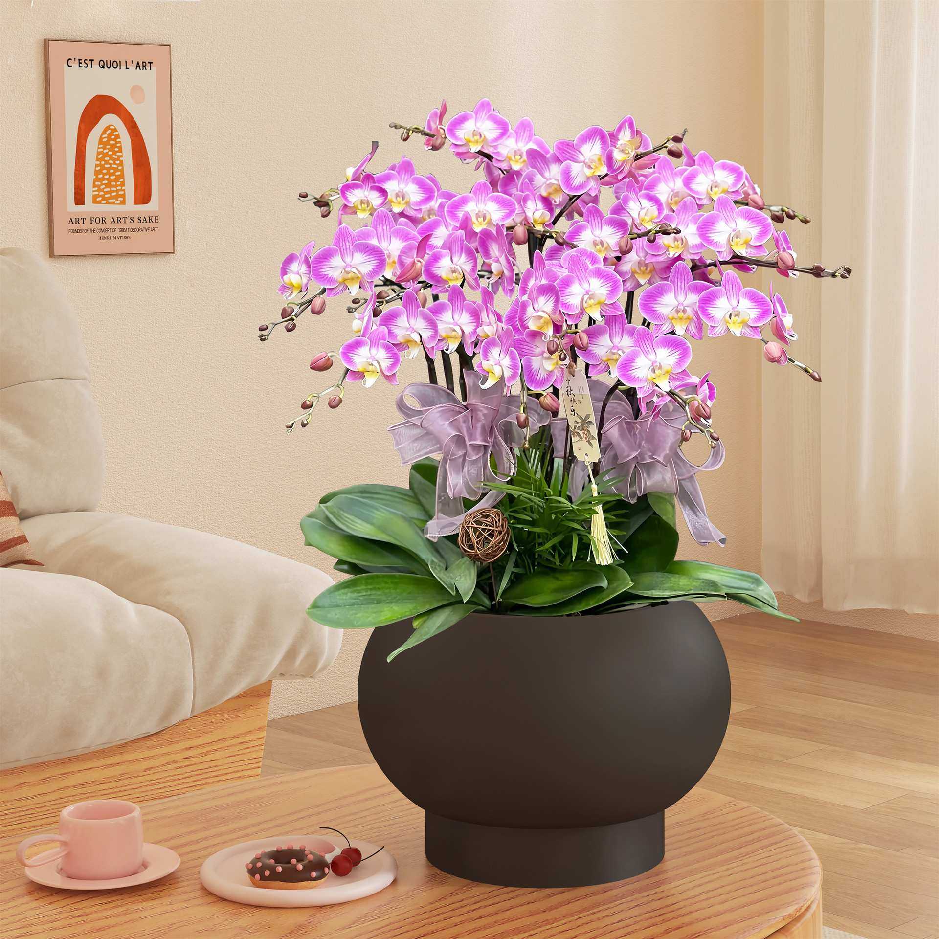 年宵金盆圆形蝴蝶兰花盆冬青银柳网红插花花器客厅酒店前台摆件