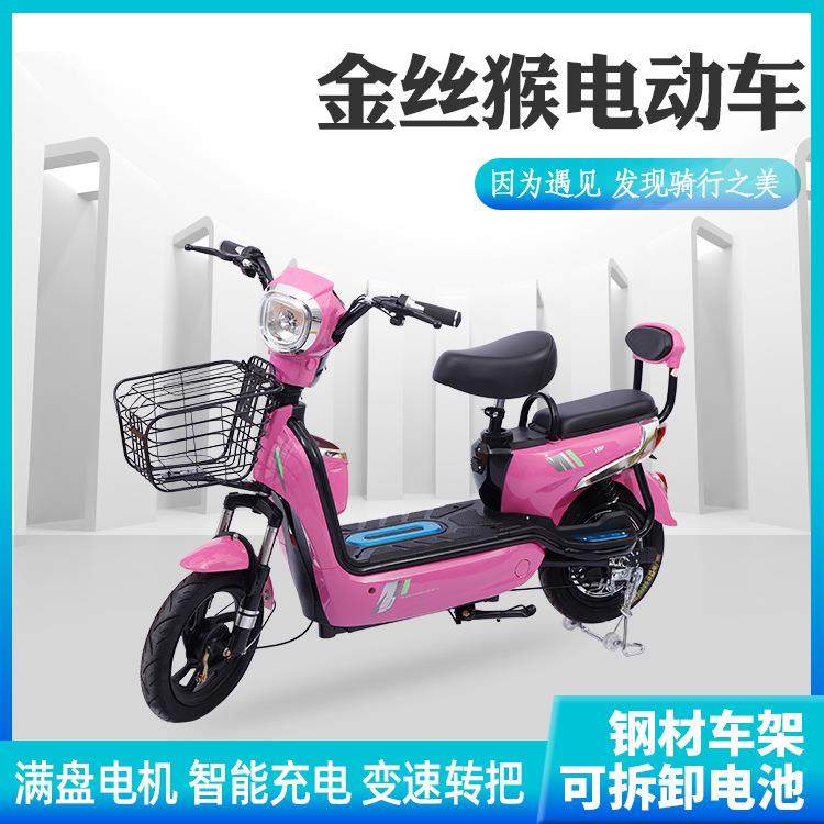 金丝猴电动自行车48V两轮电动车电瓶车可跨境E-bike厂家外贸直供