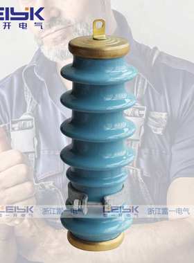 雷一Y5WS-17/50-FT蓝色陶瓷避雷器10KV高压避雷器防雷器一组价
