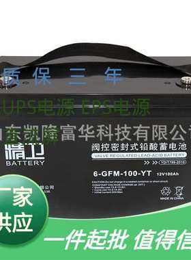 6-GFM-100-YT铅酸免维护电池12V100AH直流屏EPSUPS科华精卫蓄电池