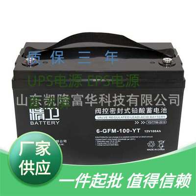 6-GFM-100-YT铅酸免维护电池12V100AH直流屏EPSUPS科华精卫蓄电池