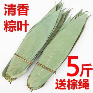 5斤粽叶免邮新鲜干粽子叶大号粽粑叶包粽子粽叶家用非芦苇叶