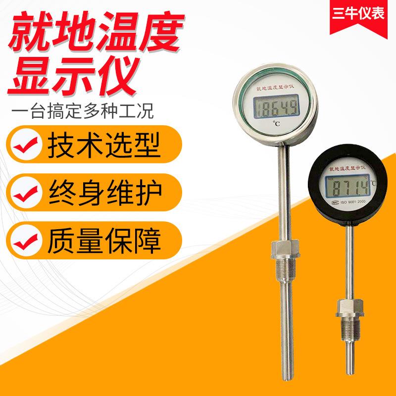 就地温度显示仪表防爆型数字显示不锈钢壳体电池供电PT100热电阻