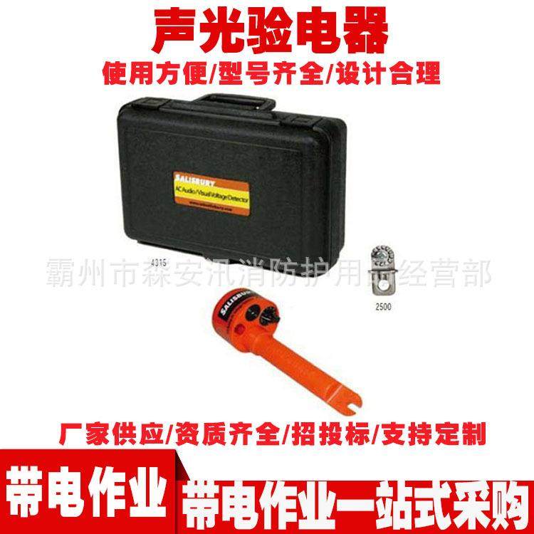 4644/4556声光验电器 自检式功能高压验电笔 带电多功能高压笔