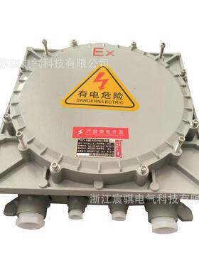 IIC级防爆接线控制箱 防爆配电箱 应急照明箱