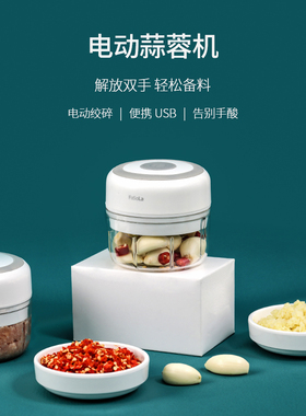 压蒜器电动捣蒜泥神器蒜蓉捣碎机家用搅肉沫蔬菜打蒜搅碎机