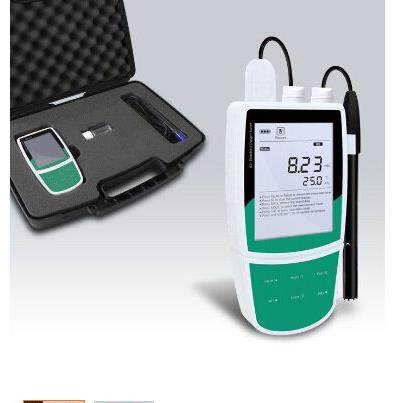 Bante821携带型溶解氧仪,标准便携式溶氧检测仪