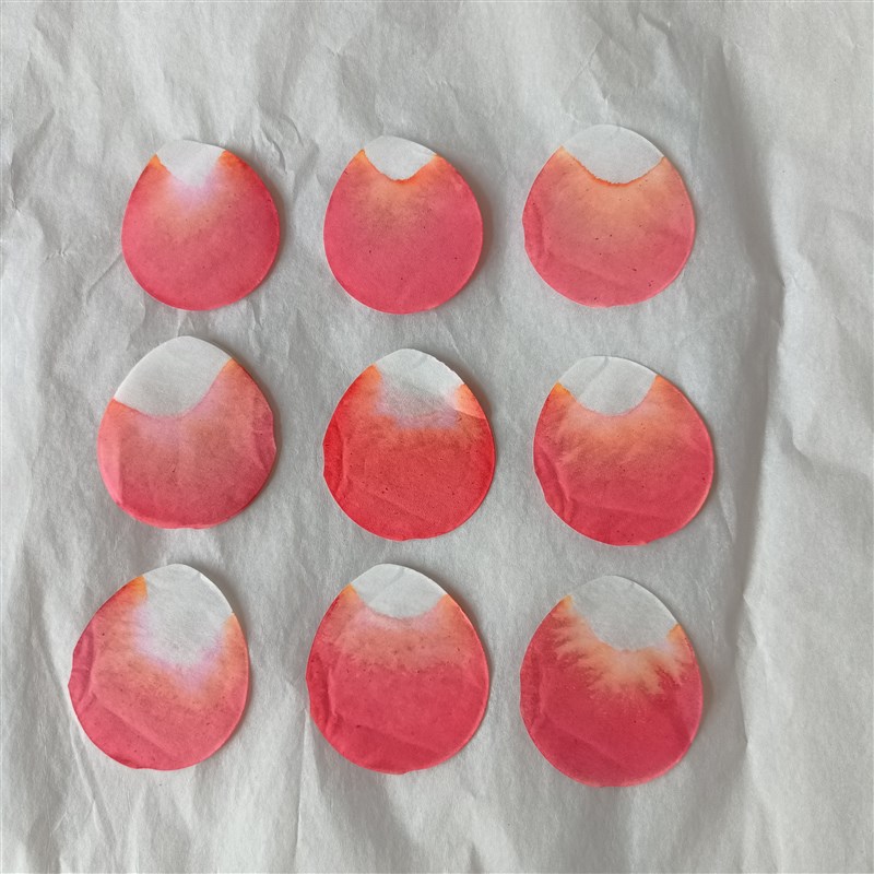 彷真阻燃纸花瓣音乐节彩带礼花爱心求婚情人节花瓣T雨酒吧手抛撒