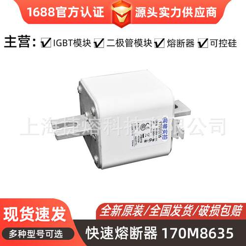 170M8635 170M8636 快速熔断器 保险丝 电子元器件 量大价优