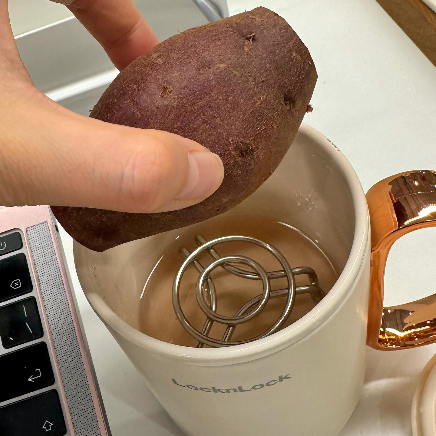 迷你不锈钢蒸架食品级烧水壶养生壶保温杯蒸锅隔水蒸架蒸鸡蛋神器