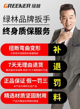 绿林开口扳手固定双头呆扳子工具8一10号小死口14超薄叉子17一19