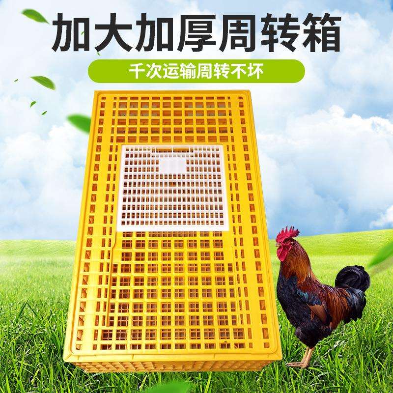 跨境塑料运输笼出口外贸款一米长鸡框周转箱养殖蛋鸡笼家禽加重鸭
