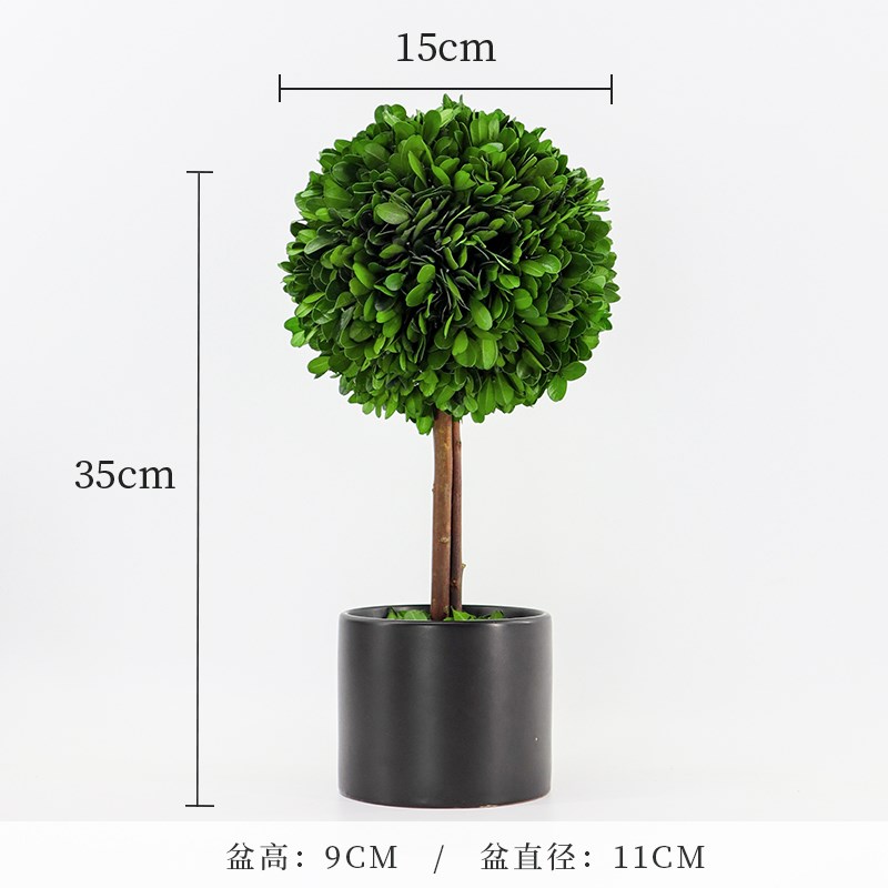 打工人稳定上班情绪神器工位解压植物小摆件办公室桌W面绿植装饰