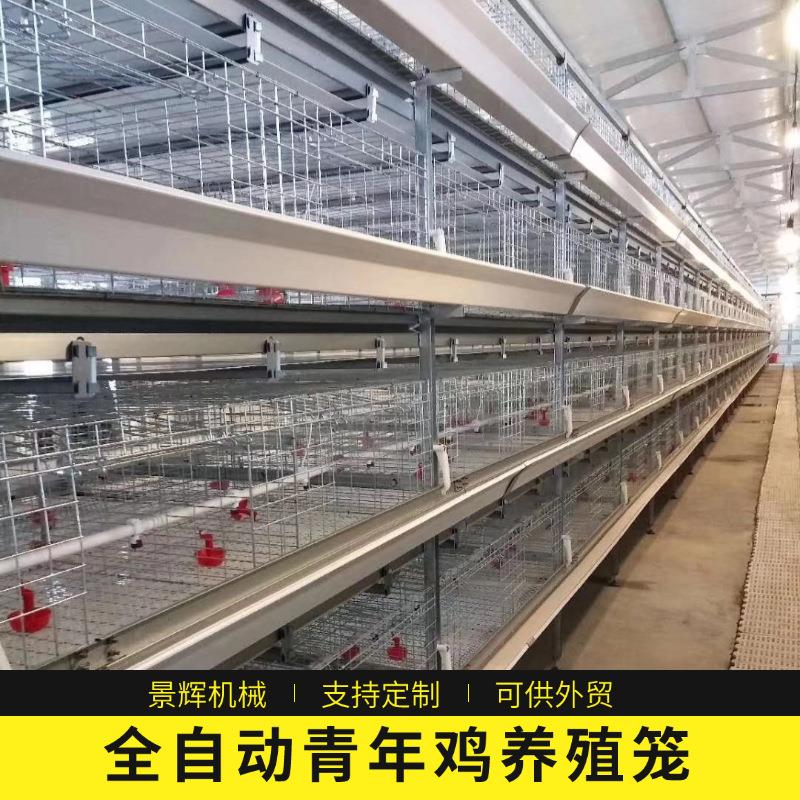 外贸全自动青年鸡鸡笼厂家自动收集自动清粪层叠式养殖场鸡笼定制