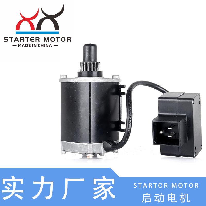 33329, 33329C, 33329D, 33329E吹雪机启动马达适用于Tecumseh