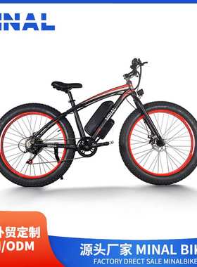 外贸出口MINAL电动自行车FT80 48V350W10.5A 01