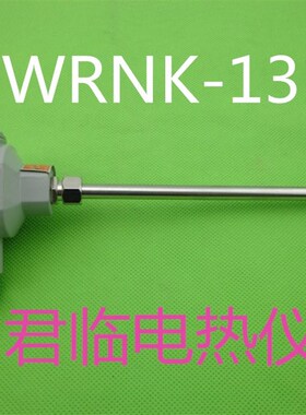 包邮K/PT100型铠装热电偶 WRNK-131热电偶0-1300度非标都有