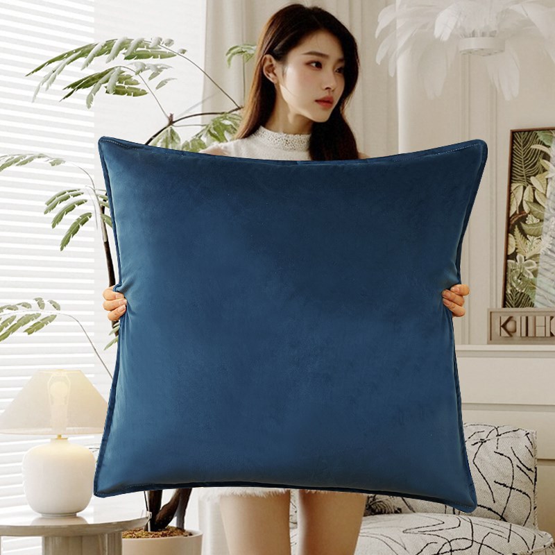轻奢枕头沙发客厅无障碍豪华高端A方枕大丝绒靠垫家居2025新款式