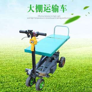 寿光定 制 大棚运输车电动装卸车 小型园林轨道运输电力车升降厂