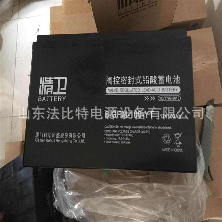 精卫铅酸蓄电池6-GFM-100-YT/12V100AH计算机机房精卫6-GFM-100