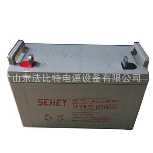 广州西力铅酸蓄电池NP100-12/12V100Ah质保3年 直流屏EPS