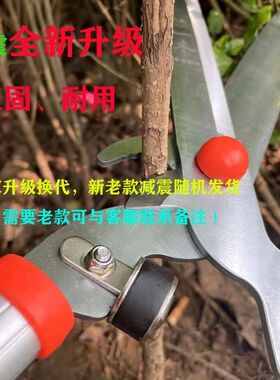 德国进口进口花剪修枝剪草坪剪绿篱剪果树剪园林修剪树枝粗枝灌木