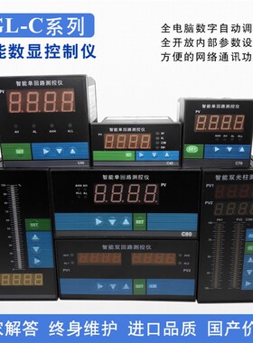 智能单回路测控仪 压力数字显示仪表 4-20MA输入 PT100 C803-01