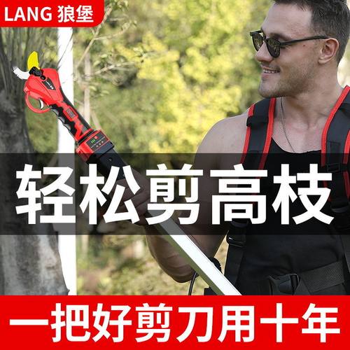 德国进口电动剪刀果树修枝剪刀充电式无线锂电修枝剪电动剪树枝剪