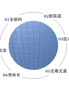 尼龙养殖网养鸡网山鸡网围栏网护栏网拦鸡网菜园网防护网防鸟网