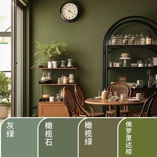 乳胶漆室内c家用佛罗里达棕格林那达橄榄绿橄榄石卧室背景墙漆涂